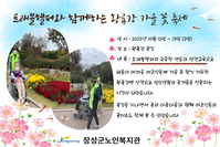 트래블헬퍼와 함께 황룡강 가을 꽃 축제에 다녀왔습니다.