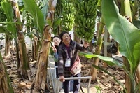 행복한 청춘 나들이(사회참여-문화활동) 바나나 농장에 다녀왔어요~