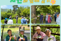 [보성군노인복지관] 자연과 함께 걷기