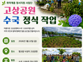 [보성시니어클럽] 함께 심는 수국 함께 피어나는 행복 