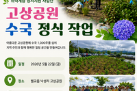[보성시니어클럽] 함께 심는 수국 함께 피어나는 행복 