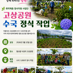 [보성시니어클럽] 함께 심는 수국 함께 피어나는 행복 