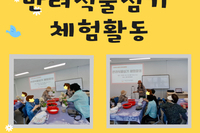 [서빛마루시니어센터] 반려식물심기 체험활동